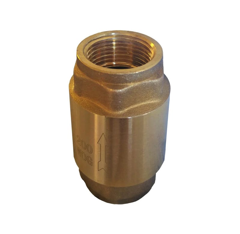 2" IPS Thread Lead Free Brass Spring Check Valve