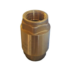 2 inch IPS Thread Lead Free Brass Spring Check Valve
