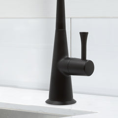 Metpure Anaqua non-air gap reverse osmosis faucet in matte black