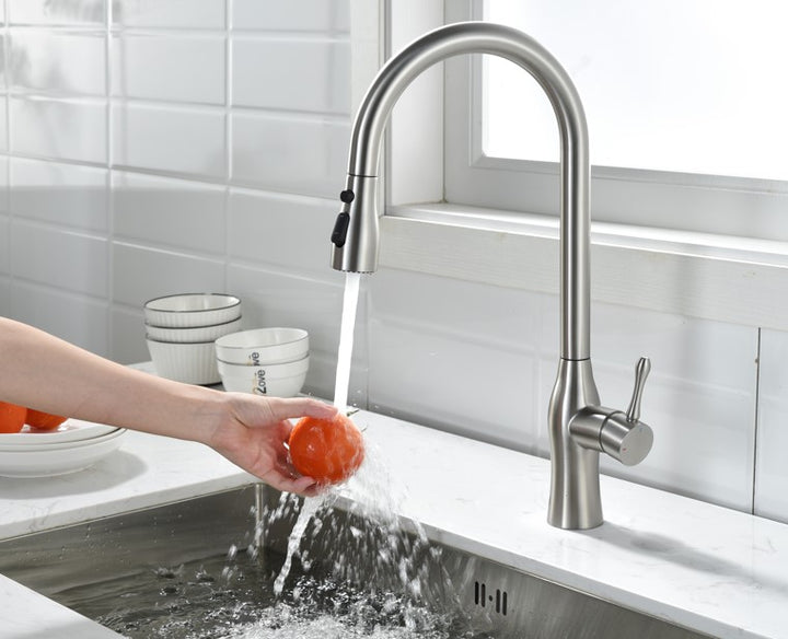 Kitchen Faucet