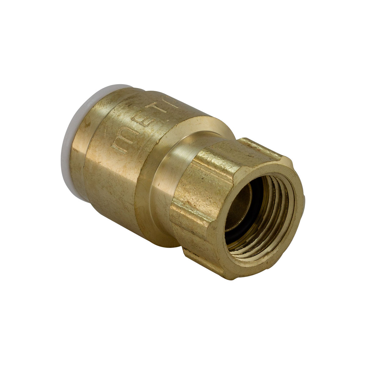 eecfda78-a525-4a94-bdbe-b7cf87e19f52/ft-qc3fa716b-2.jpg